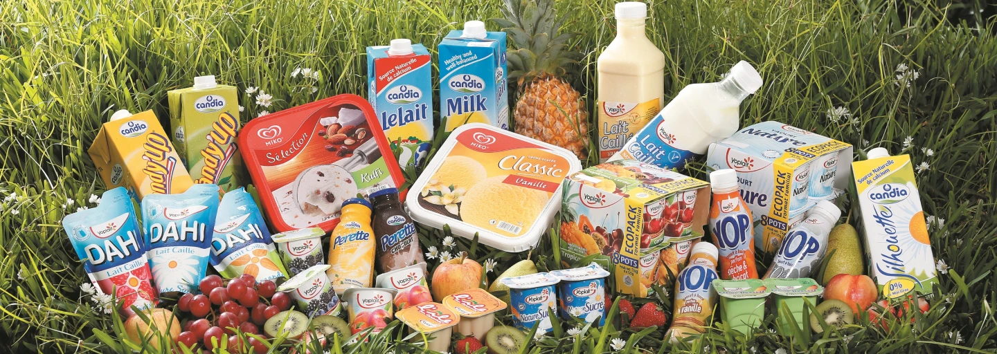 Agro based Industries