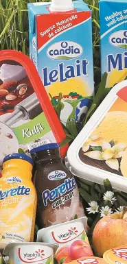 Agro based Industries