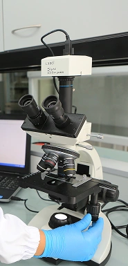 Inspection Laboratory